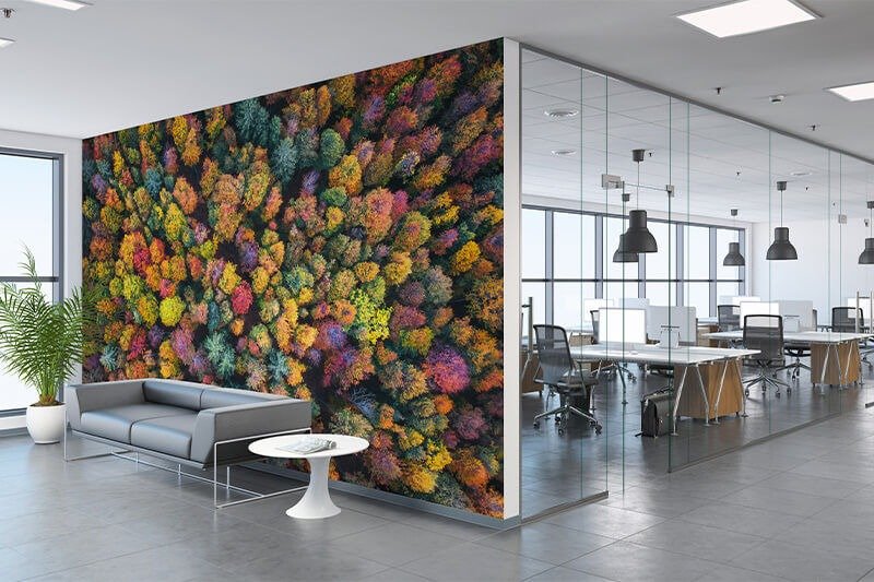 Wall Graphics